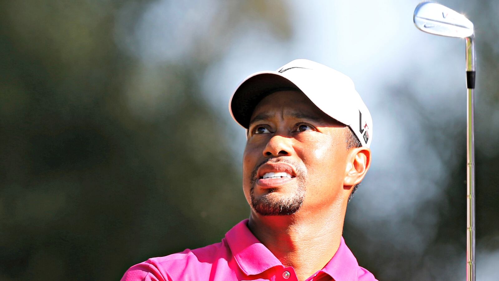 cheats/2016/11/01/tiger-woods-announces-return-to-competitive-golf/161101-tiger-woods-cheat_nnogtf