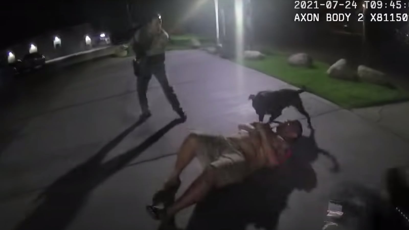 Screen_Shot_2021-07-28_at_7.03.30_PM_eeut7r