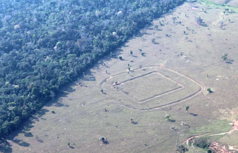 Geoglyphs uncovered in the Amazon rainforest.