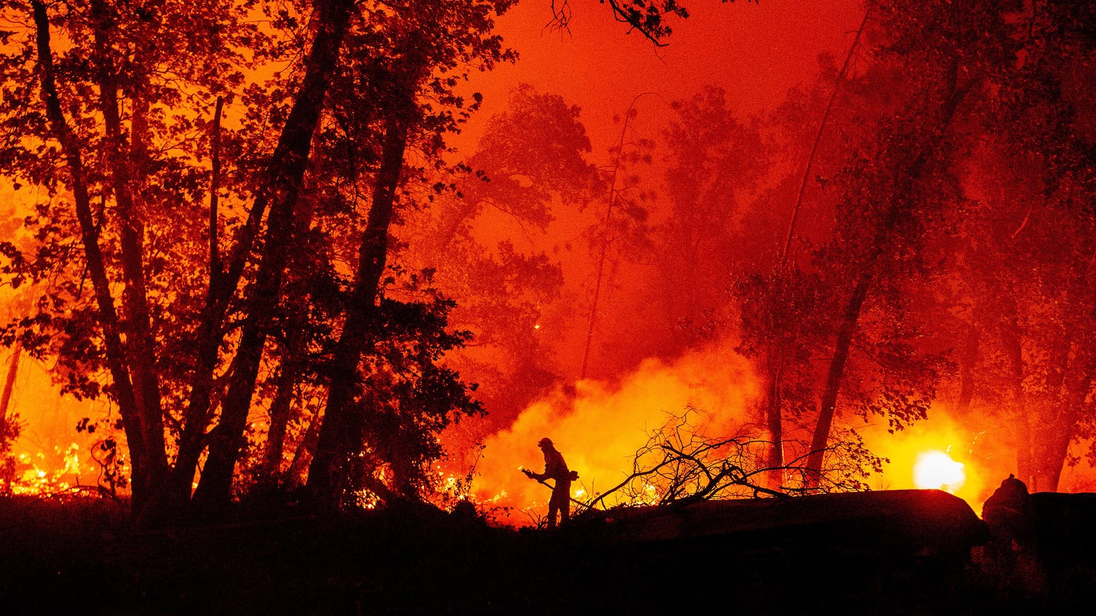 200908-weill-vigilante-group-tease_qe3ig9