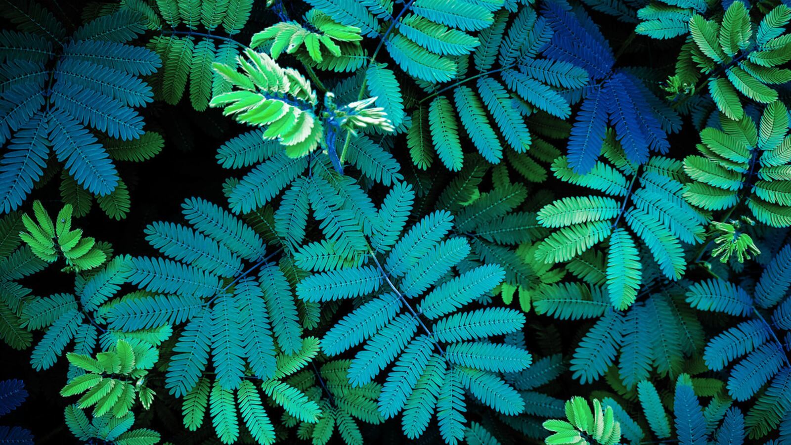 220624-Tran-artificial-photosynthesis-tease_c4pswf