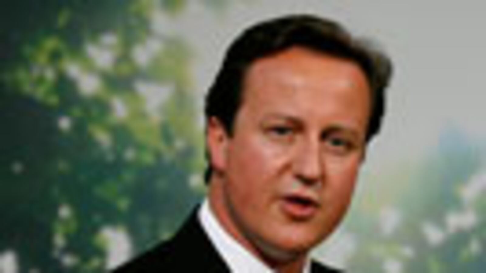 articles/2008/11/12/the-cameron-option/oborne-cameron_4474_cevn0g