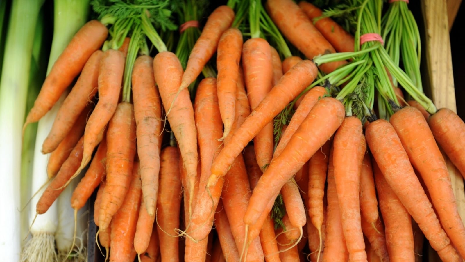 cheats/2012/09/03/study-organic-food-no-healthier/organic-food-no-healthier-cheat_mj57up