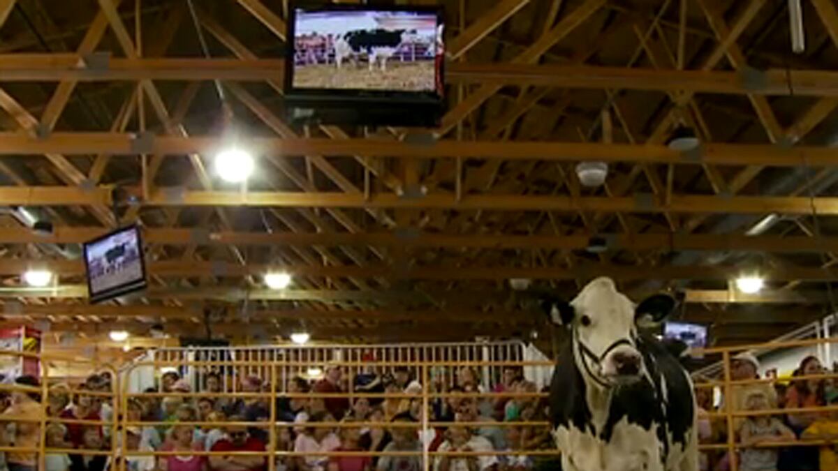 articles/2012/09/23/exclusive-the-miracle-of-birth-video/grady-miracle-birth-tease_svwwfx