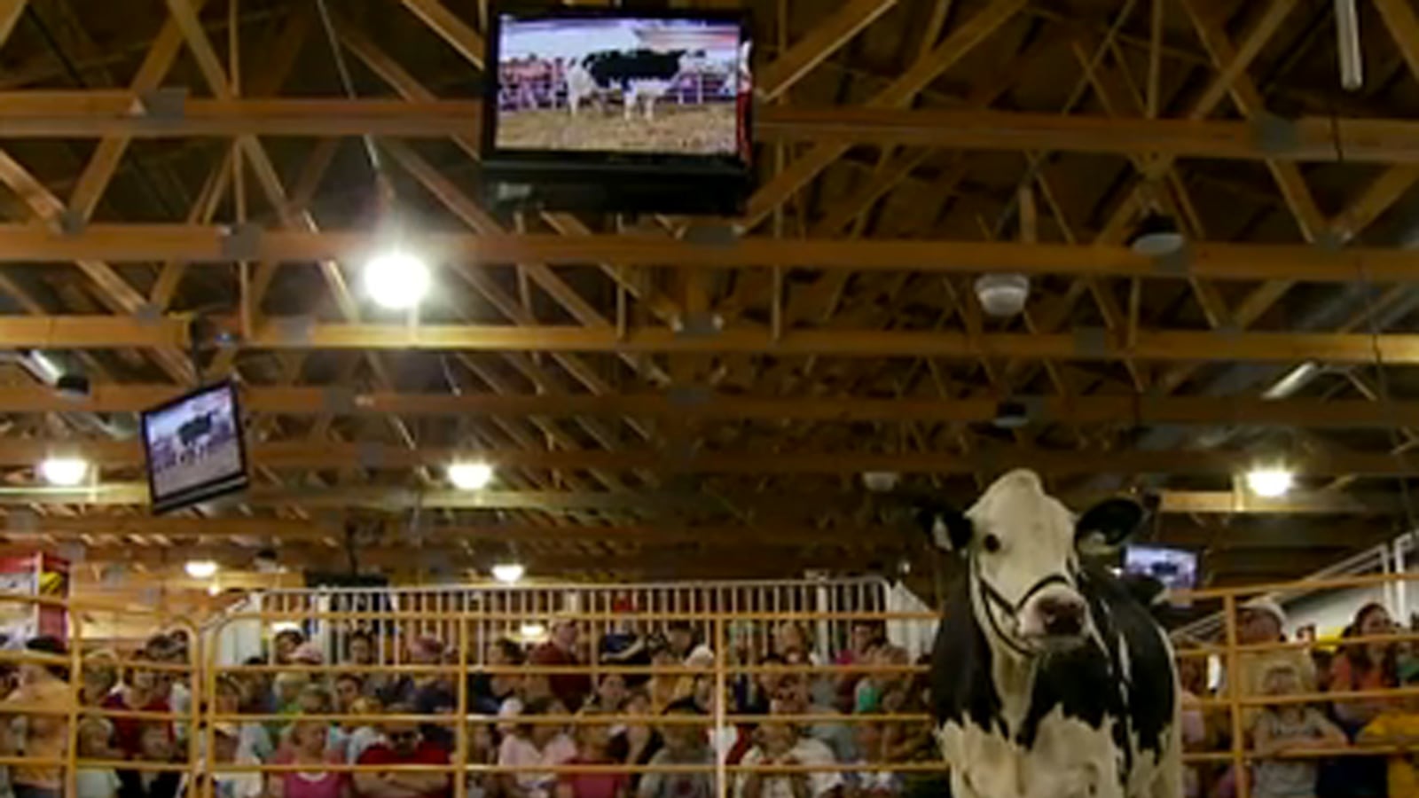 articles/2012/09/23/exclusive-the-miracle-of-birth-video/grady-miracle-birth-tease_svwwfx