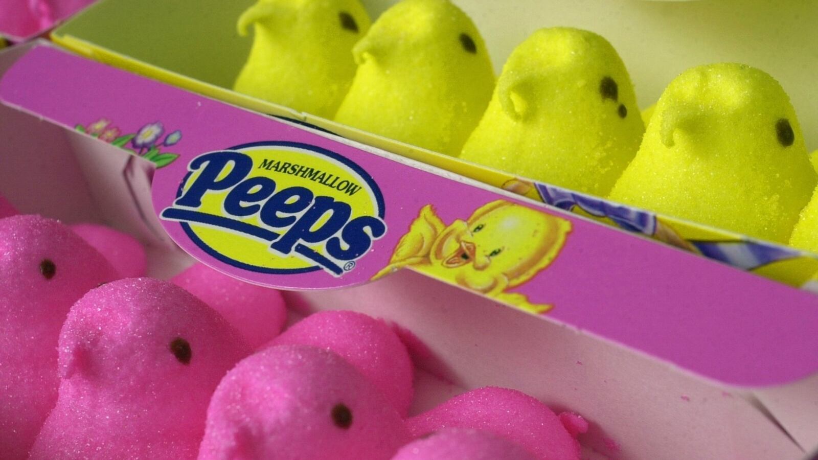 cheats/2013/03/08/peeps-hit-record-sales/where-my-peeps-cheat_skphdd