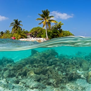 NORTH ARI ATOLL, MALDIVES - JANUARY 24: A general view of the island as coral reefs show severe damage due to rising sea temperatures linked to climate change during dives in the North Ari Atoll, Maldives on January 24, 2026. Observations reveal a significant decline in coral populations, along with coral bleaching. Anemones, schools of snapper fish, hawksbill sea turtles and a dense moray eel population were observed during the dives at an area known as “fishtank.” (Photo by Tahsin Ceylan/Anadolu via Getty Images)