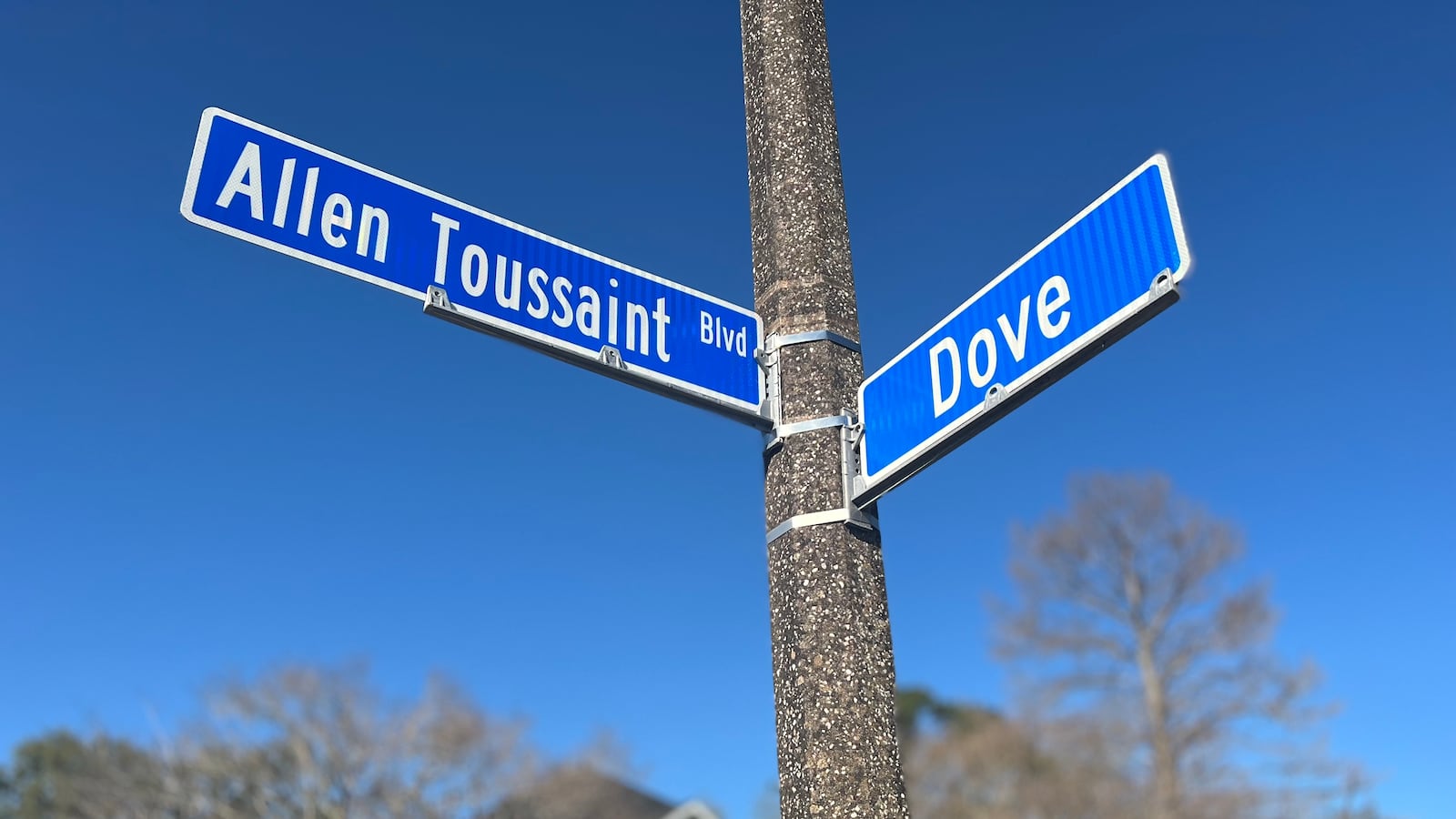 Allen_Toussaint_Blvdphoto_credit_L.J._Goldstein_f5yurp