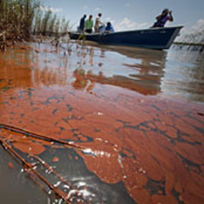 articles/2010/06/21/blowout-preventer-to-blame-for-oil-spill/oil-wrap_108500_ndfk7u