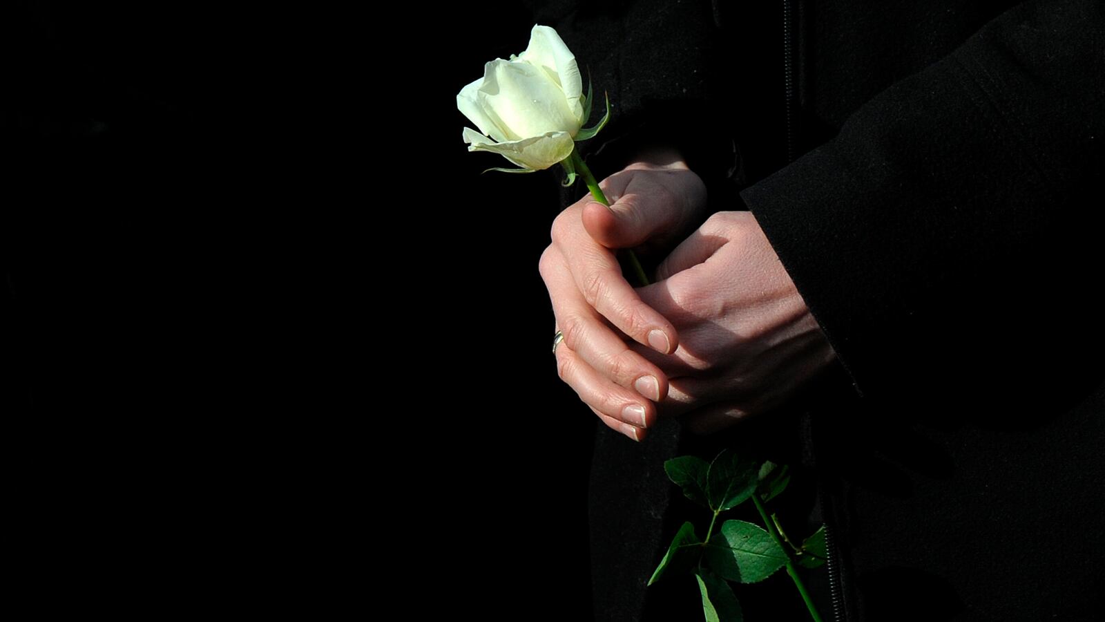 RTR29V2E_f9hdki_xkjcxg