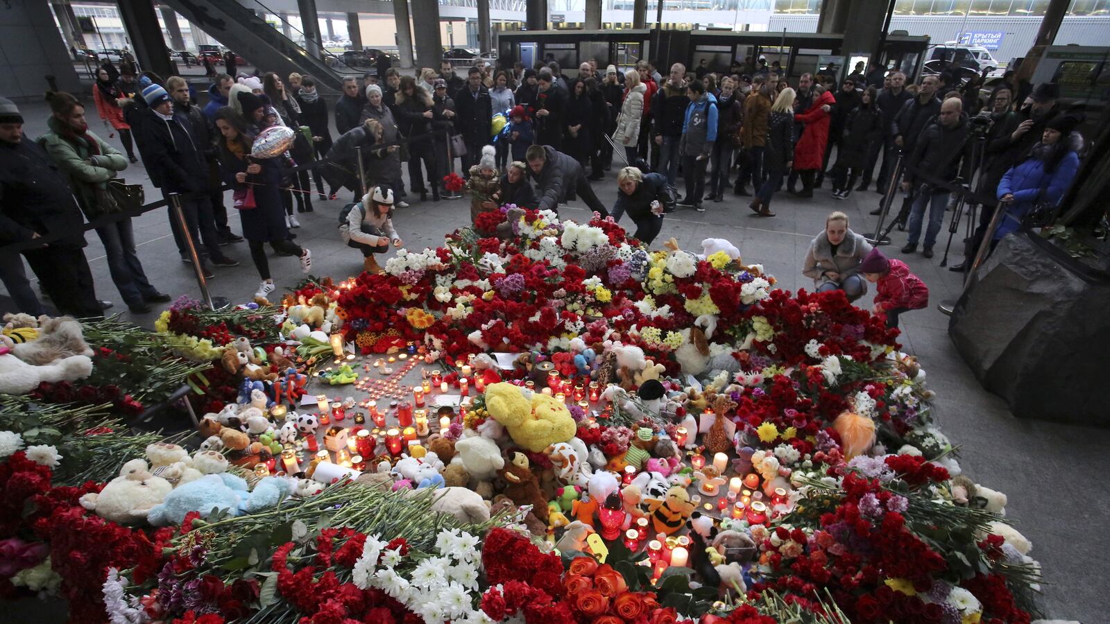 cheats/2015/11/01/russia-fleet-grounds-flight-after-crash/151102-metrojetrussia-cheat_zi6vyz