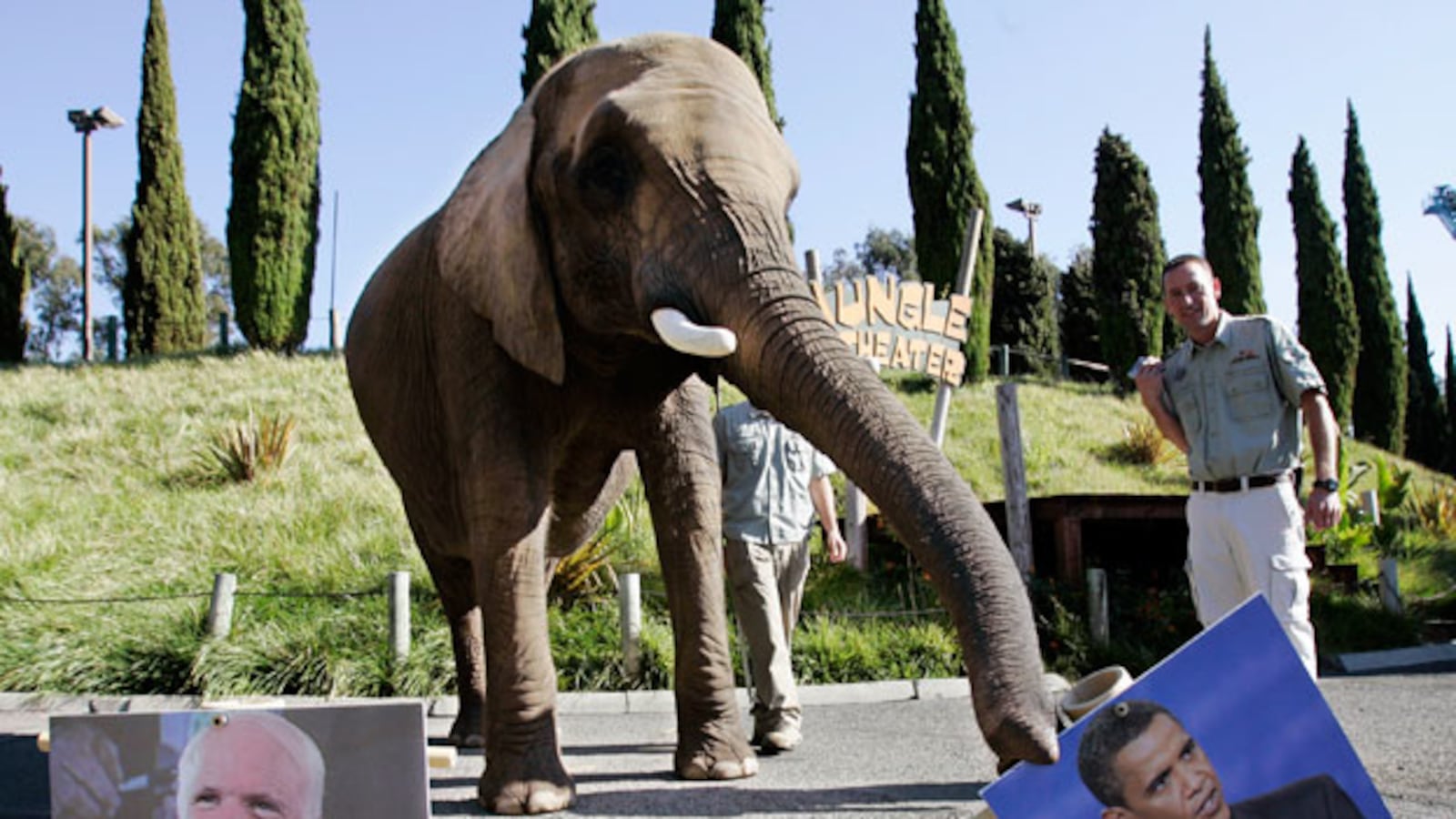 galleries/2009/12/31/smart-elephants/elephants-3_ieivz2