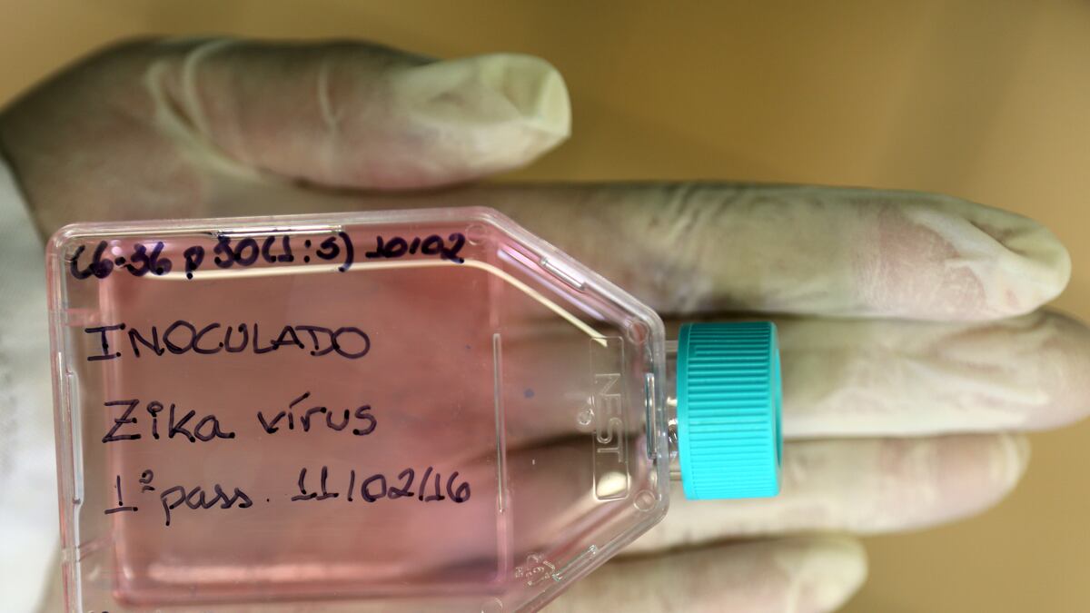 cheats/2016/02/16/paralysis-condition-surges-in-affected-zones/160217-zika-cheat_t36cvv