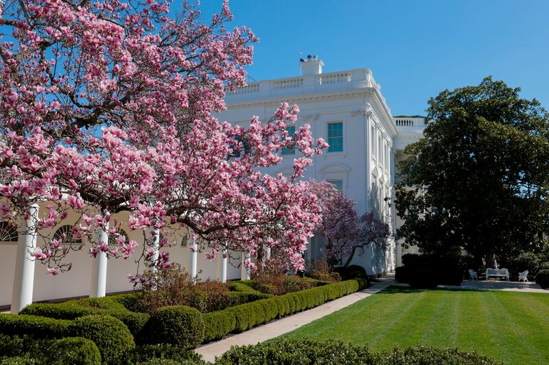 A view of the Rose Garden in March, before the renovations.