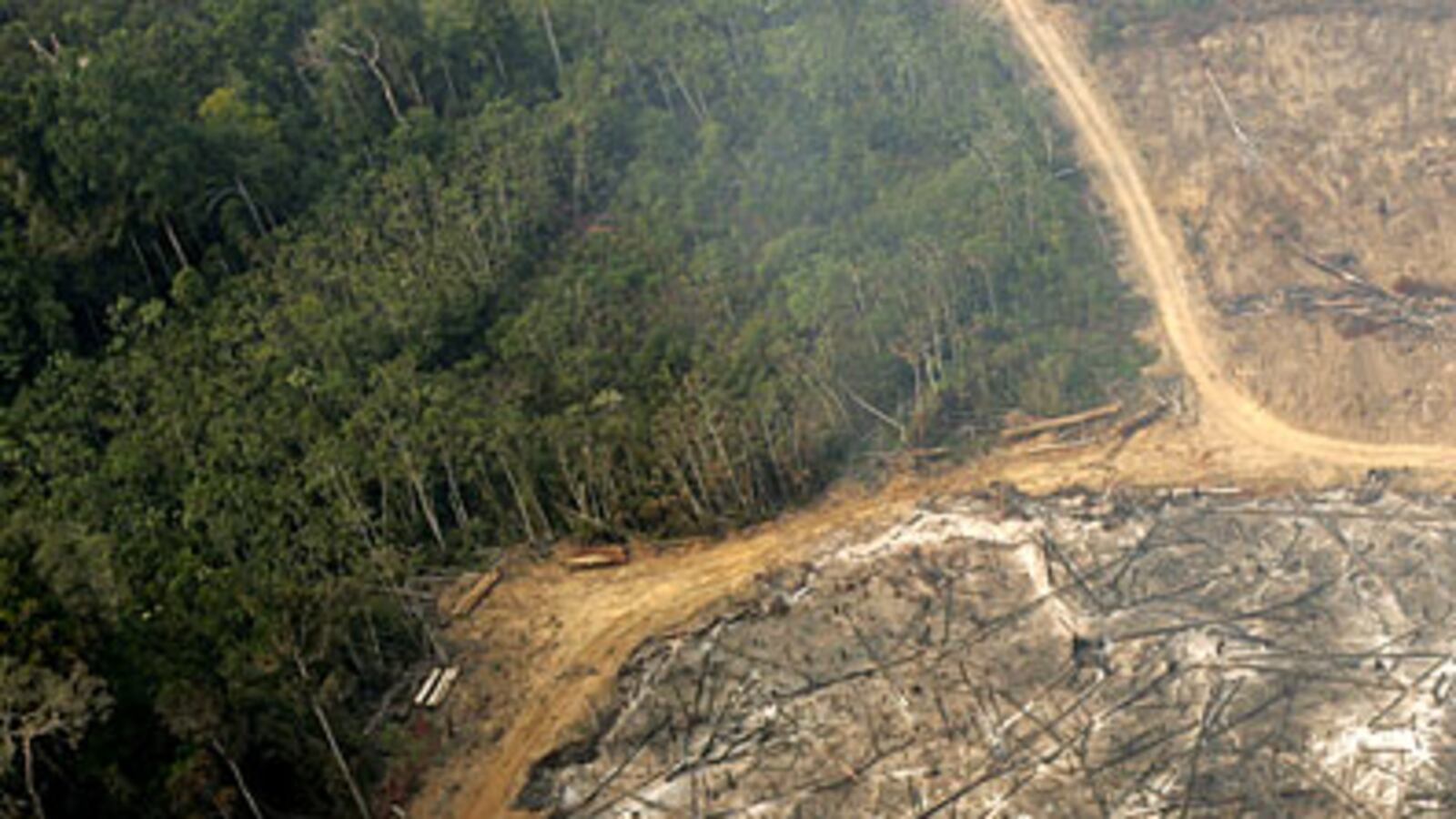 cheats/2009/01/30/dont-save-the-rainforests/rainforest_fwkxvu