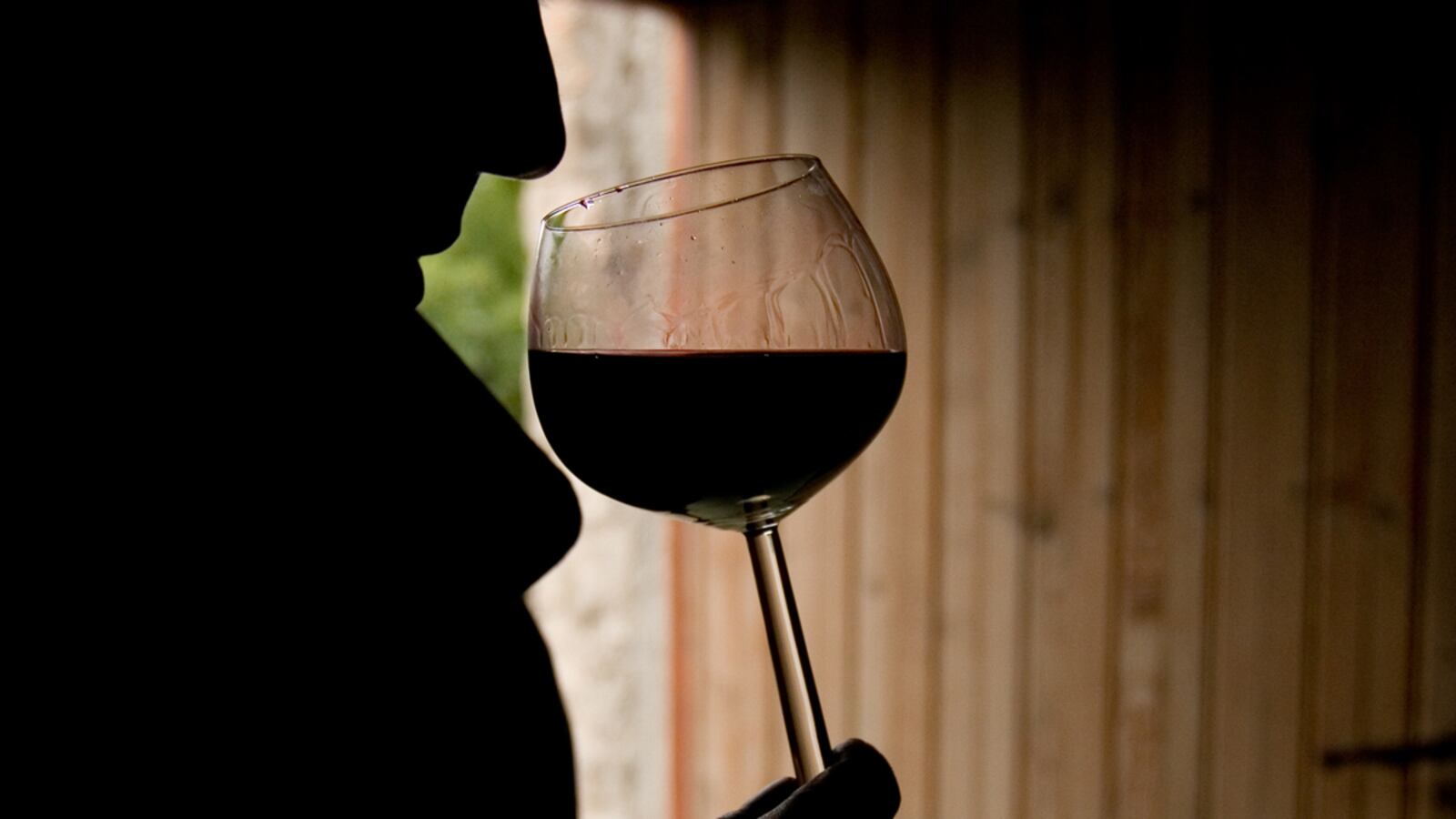 articles/2012/01/06/the-food-lover-s-guide-to-wine-perfect-pairings/food-lovers-guide-to-wine-tease_tibvn8