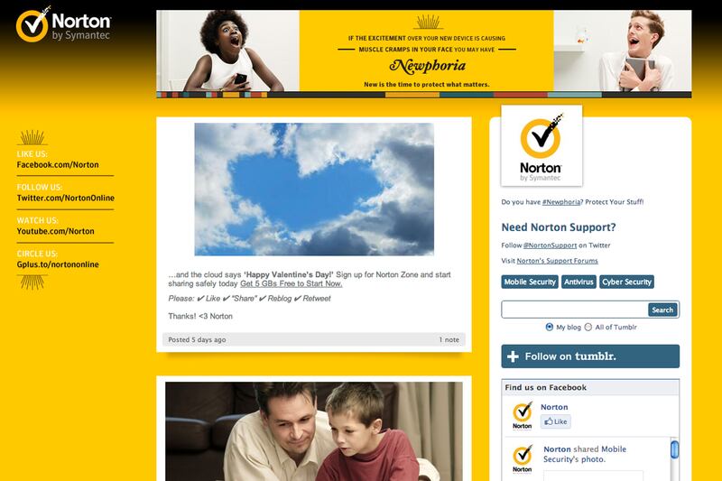 galleries/2013/02/21/irs-internet-explorer-more-unexpected-company-tumblrs-photos/gal-tumblr-norton_ducpz1