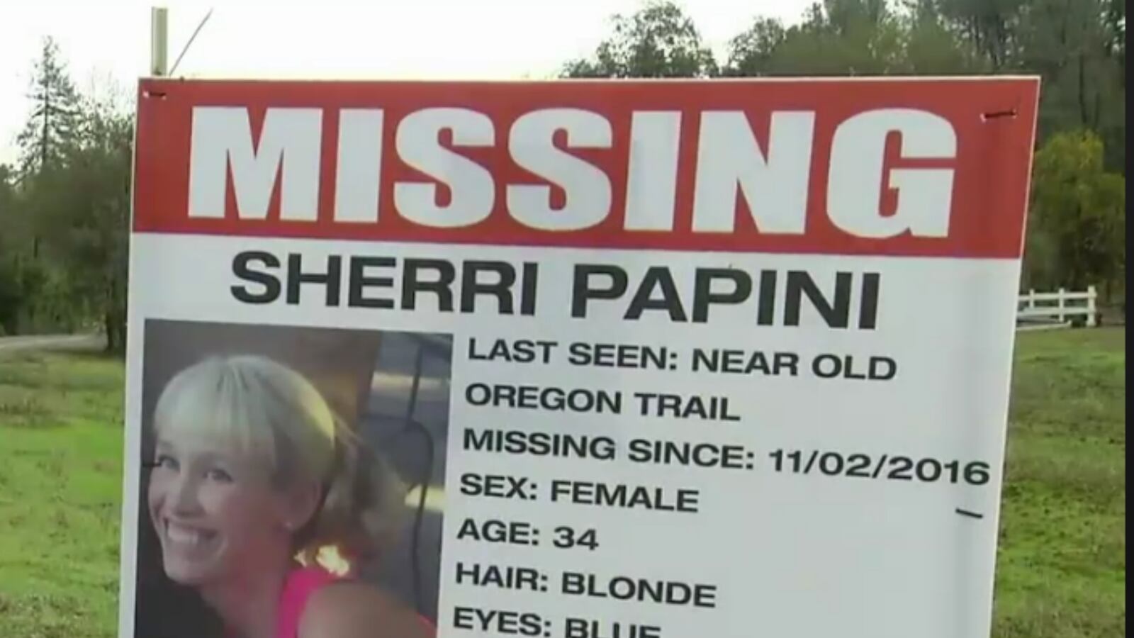 cheats/2016/11/08/mother-of-two-feared-abducted-in-northern-california/161108-california-missing-jogger-cheat_tdzi02