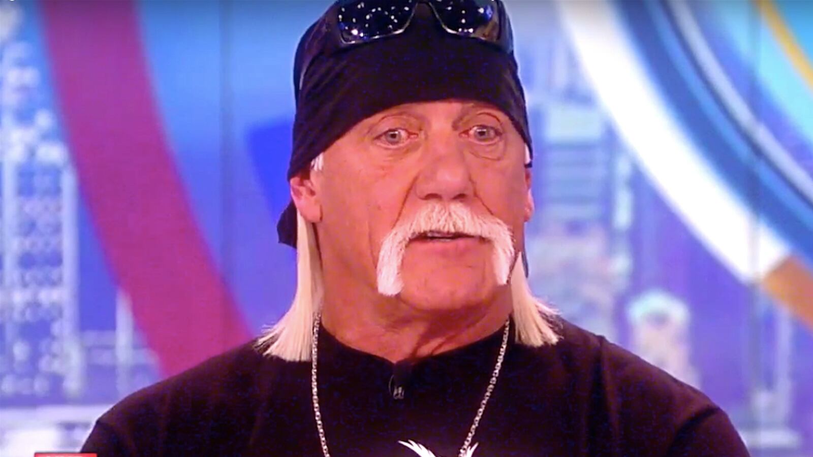 articles/2016/03/23/the-view-confronts-hulk-hogan-about-racist-slurs-after-gawker-verdict/160323-wilstein-hogan-tease_npcvad