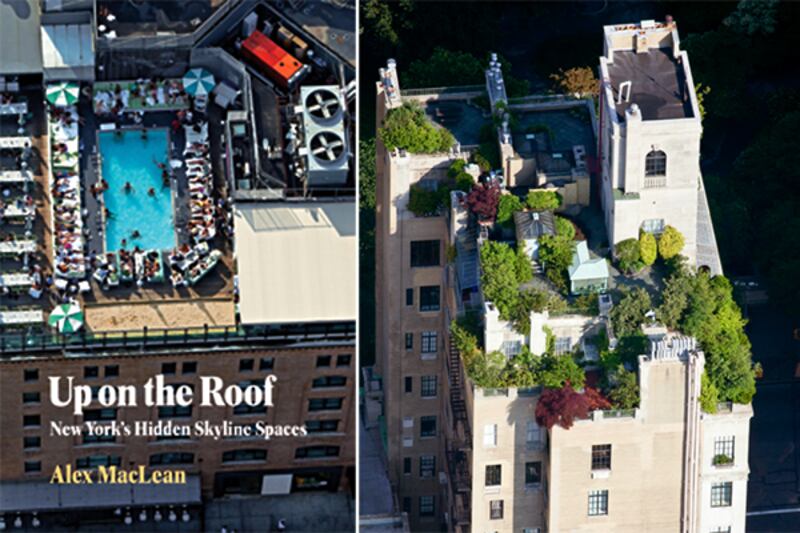galleries/2012/04/22/earth-day-2012-new-york-rooftop-photos-by-alex-maclean/rooftop-gardens-intro-tease_ujevjy
