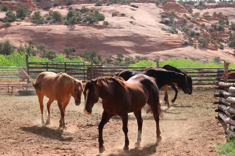 220314-omg-bedrock-13_bcrwgv