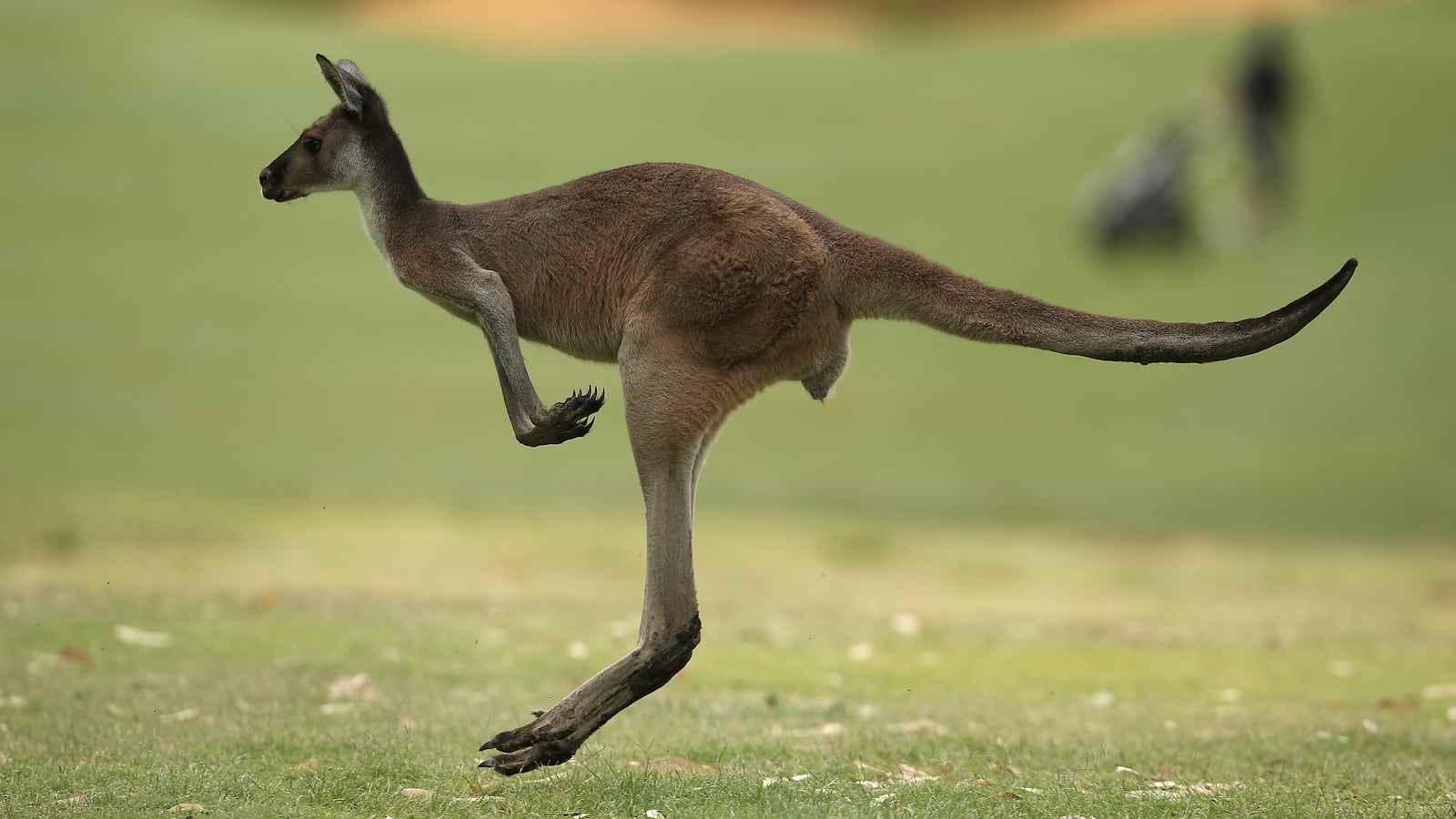 GettyImages-1129310243_letbkm