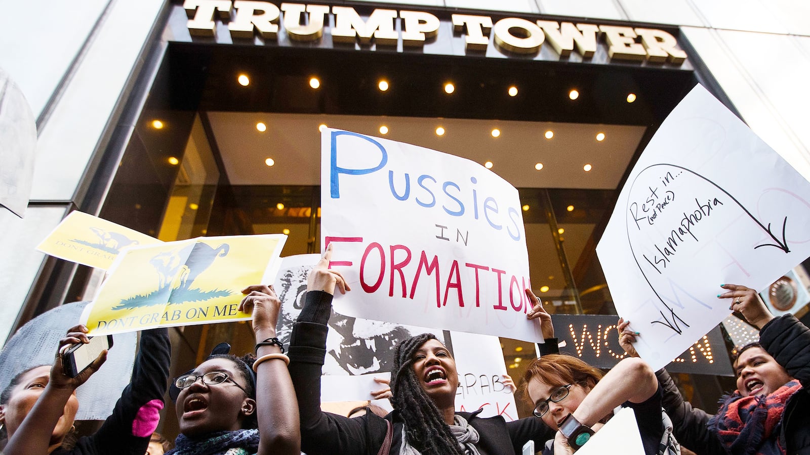 articles/2016/11/04/hissing-feline-stars-at-gophandsoffme-protest-outside-trump-tower/161103-Crocker-women-demo-Trump-Tower-tease_nhrq3u