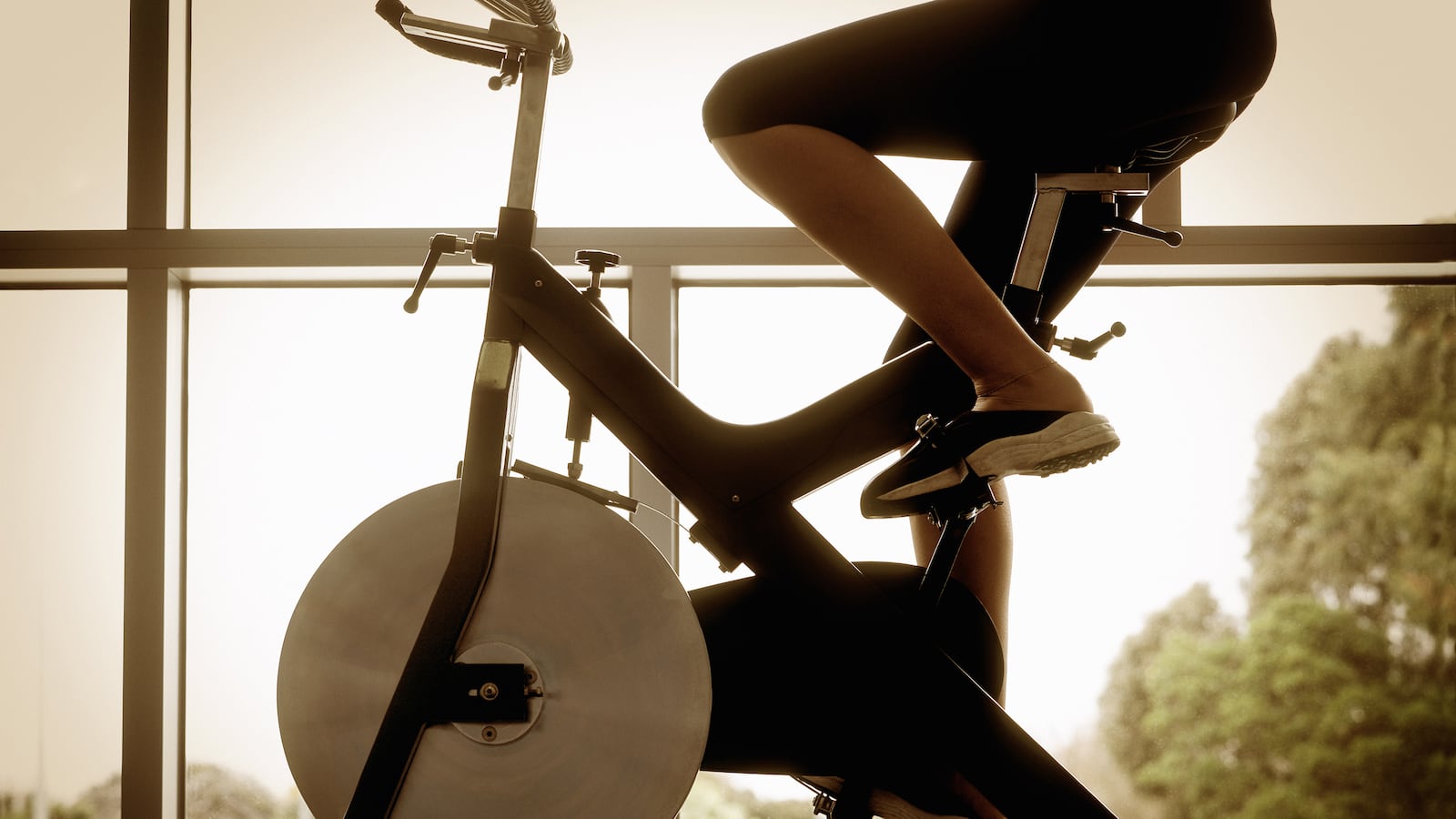 articles/2014/03/17/psycle-is-london-s-hardcore-answer-to-soulcycle/140316-wolf-cycle-tease_btdwyt