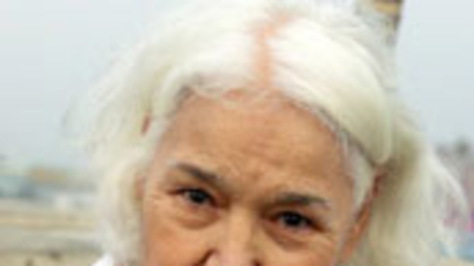 articles/2009/05/04/red-meat-for-revolutionaries/antrim-saadawi_25259_ztj8no
