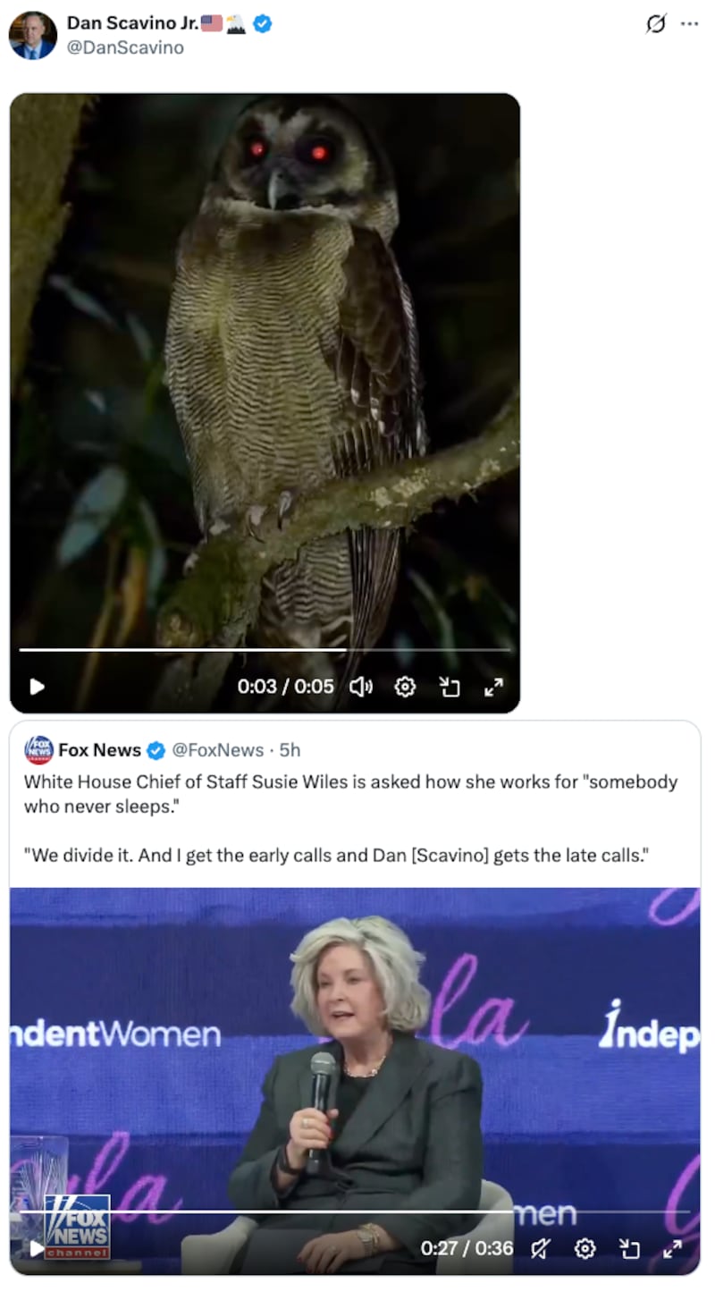 Dan Scavino X post