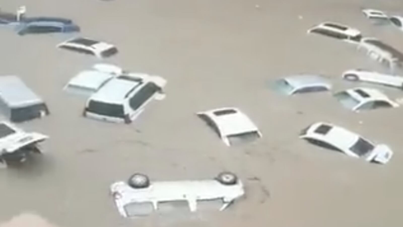 Screen_Shot_2021-07-21_at_12.36.50_dzjczk