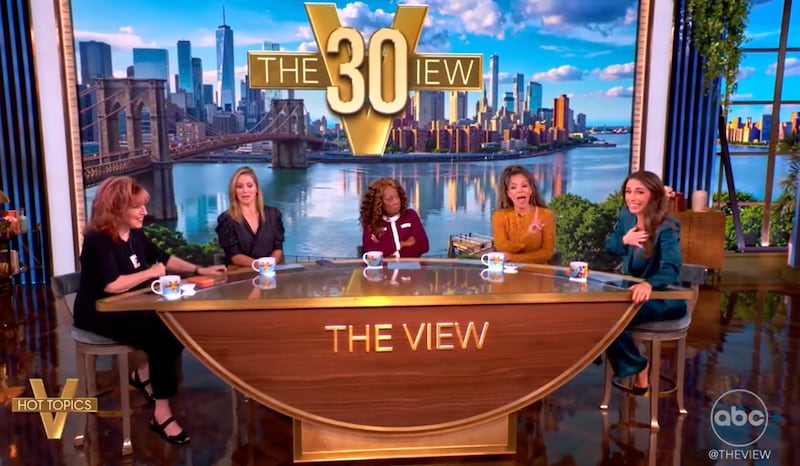 The co-hosts of the view on a panel.
