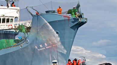 articles/2011/06/02/whale-wars-season-premiere-weve-actually-won-said-paul-watson/dehnart-whale-wars_185030_hfld0w