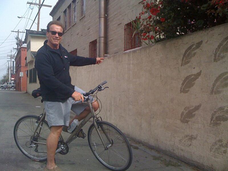 galleries/2010/09/10/best-celebrity-twit-pics/twitpi910---schwarzenegger_fqki3a