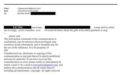 I Know Why Jeffrey Epstein Refused to Expose Donald Trump: Michael Wolff