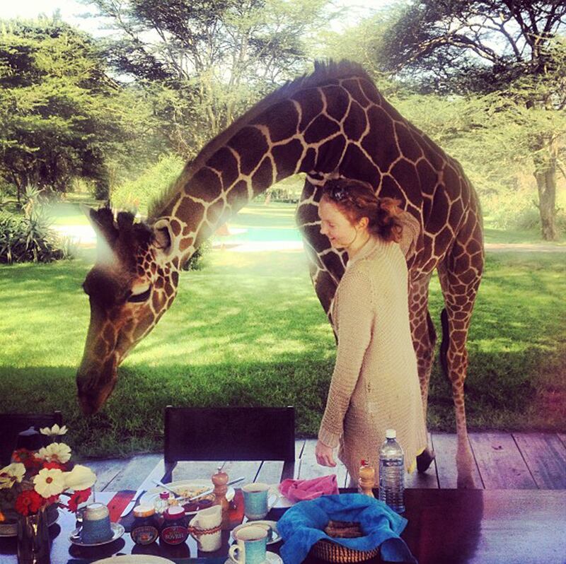 galleries/2013/06/08/ireland-baldwin-rihanna-more-fashion-instagrams-photos/130607-lily-cole_hu8vtu