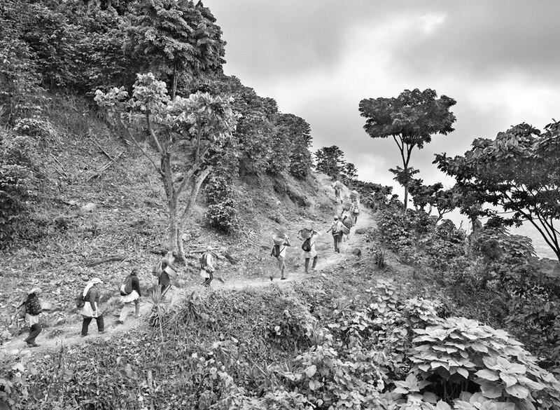 galleries/2015/10/11/sebasti-o-salgado-chronicles-coffee-plantations-photos/131126-salgado-coffee04_aayu5k