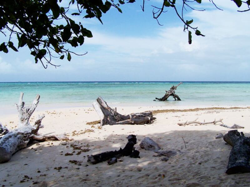 galleries/2010/04/21/our-drowning-planet/climate-change---marshall_bvsxrc