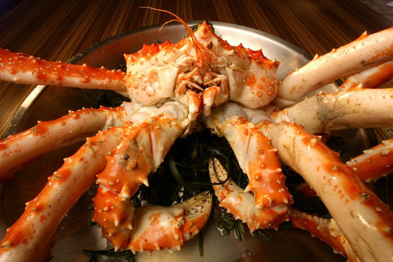 An 8-pound live Alaskan King Crab.