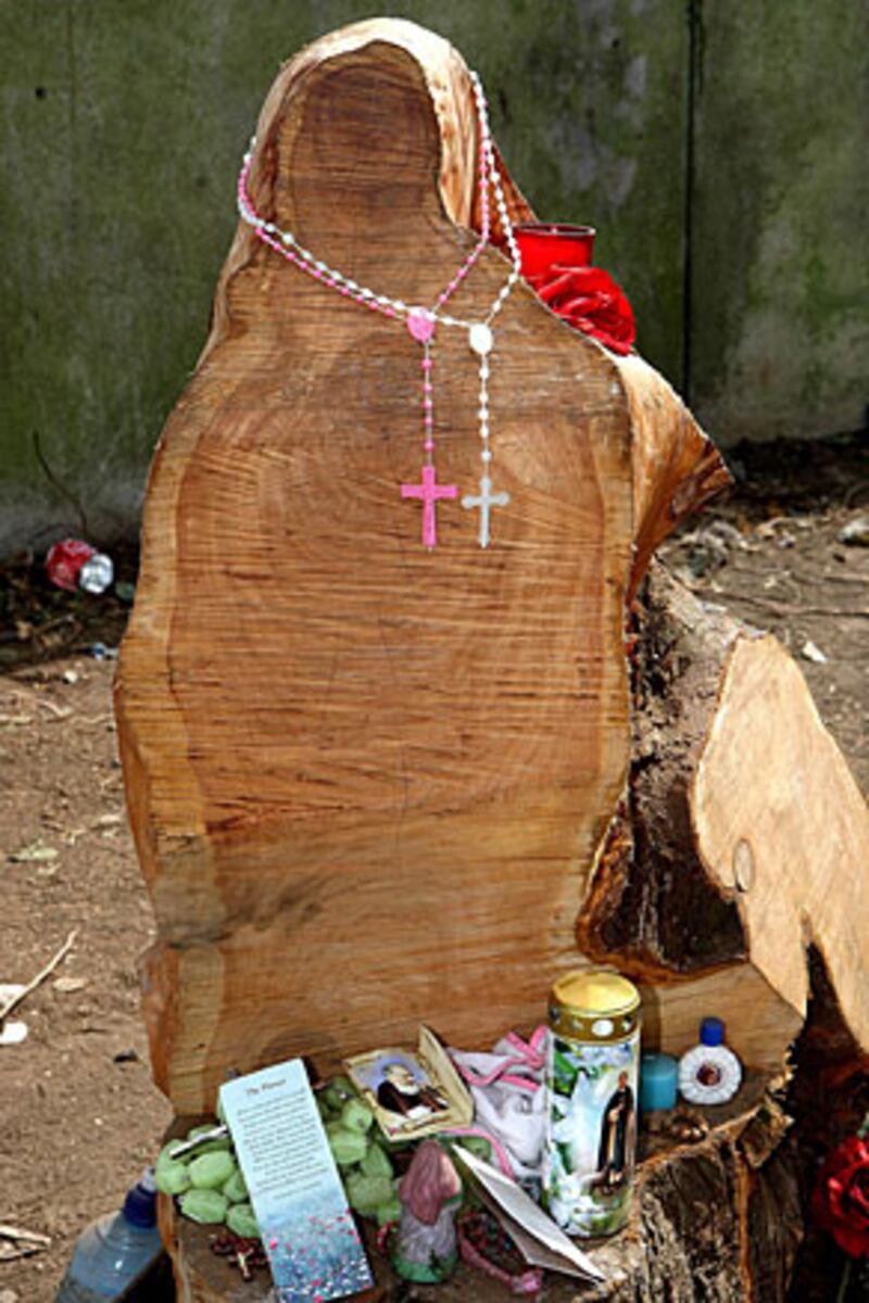 galleries/2009/11/30/father-son-and-the-holy-toast/religious-sightings-3_b4orop