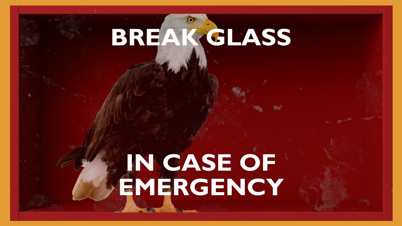 210625-Rothkopf-democracy-tease_copy_woqppc