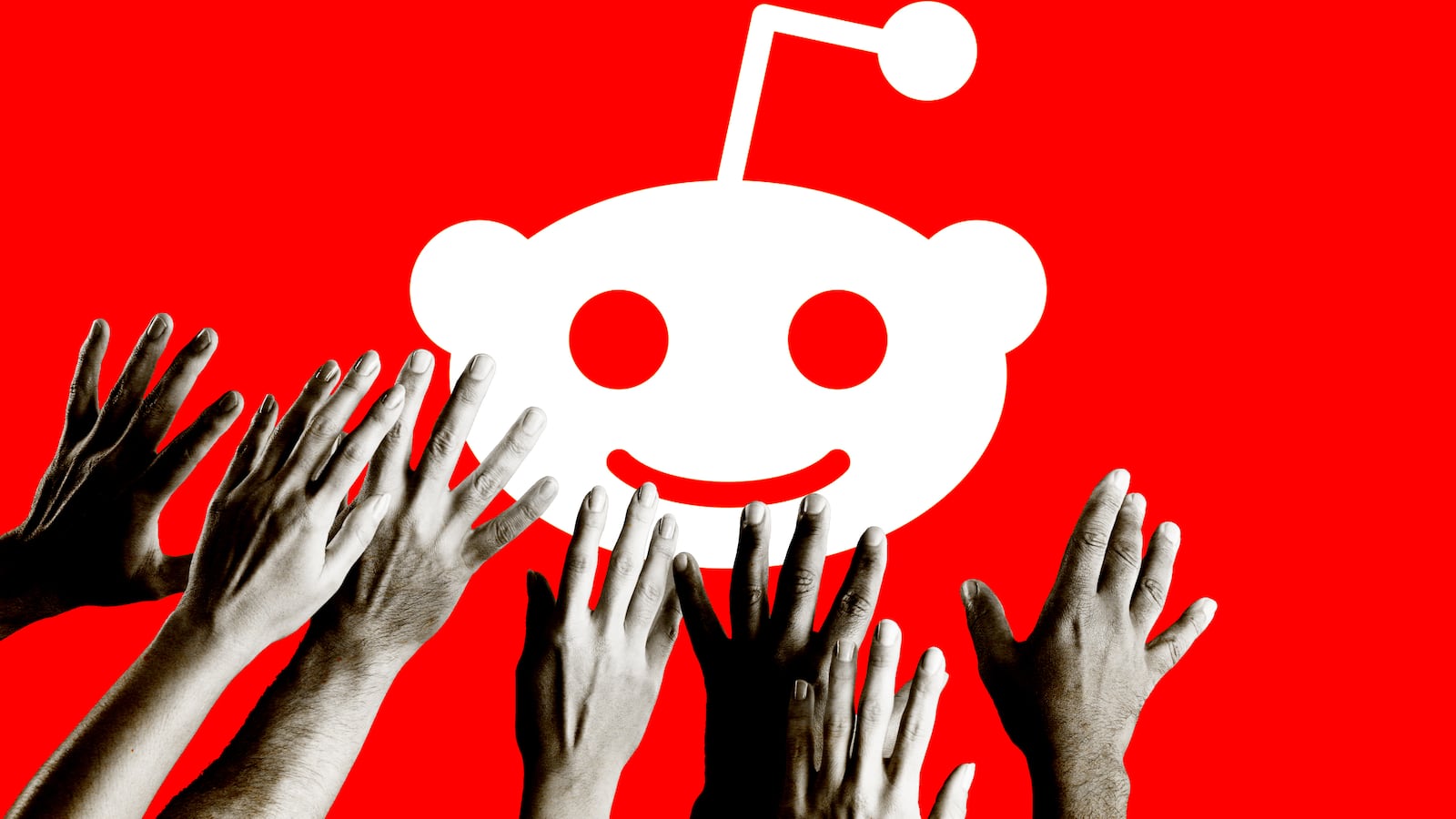 190423-sommer-black-reddit-tease_enrvyi