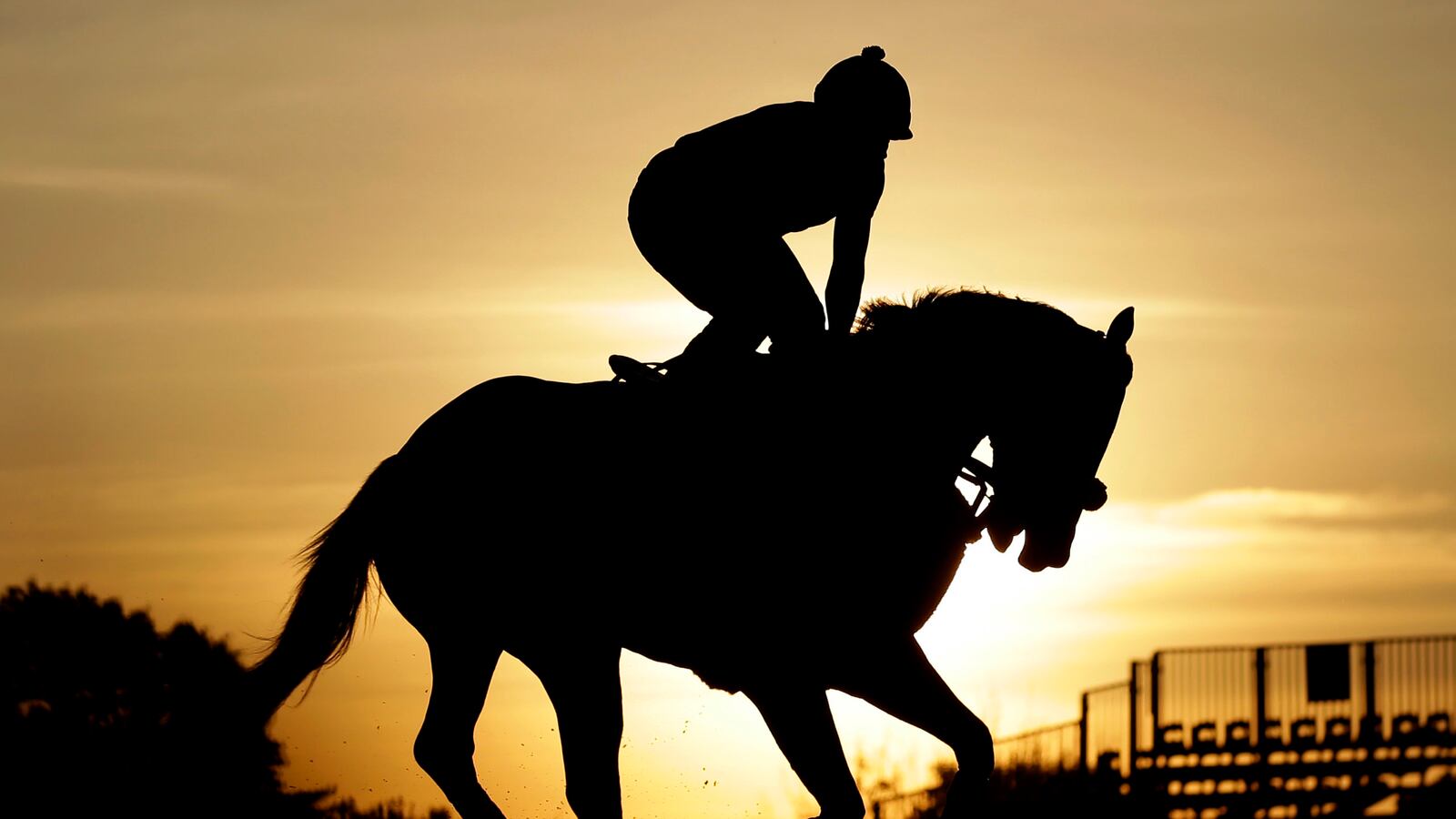 cheats/2013/05/18/preakness-darling-on-the-mend/130518-preakness-race-orb-cheat_ltjjem