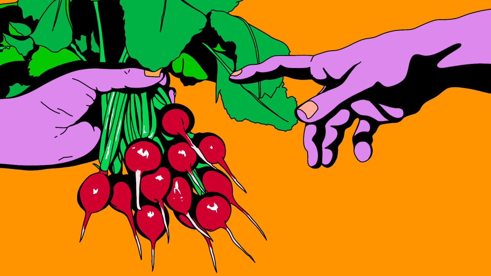 220513-creation-vegetarian-hero_kxysf9