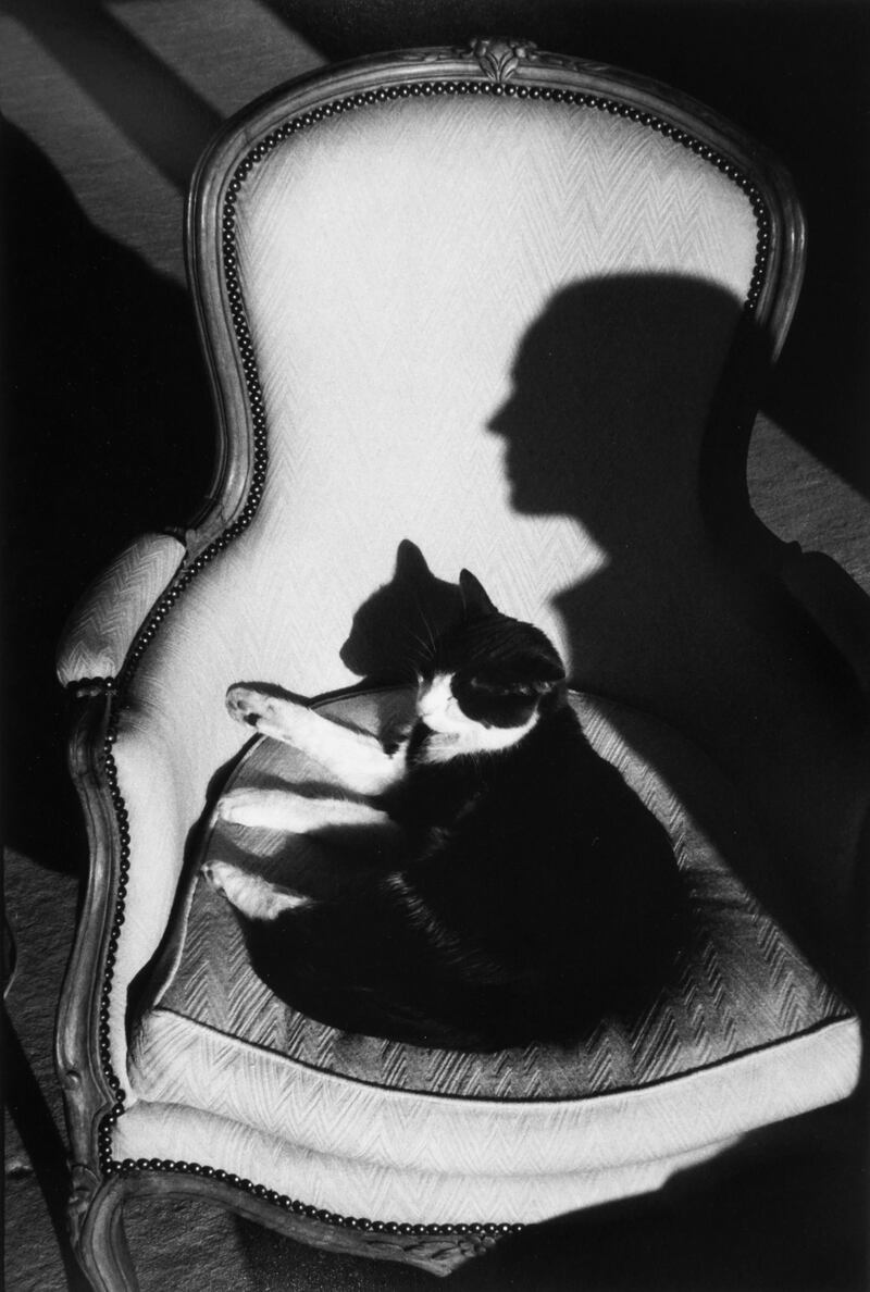 Henri_Cartier-Bresson_Our_Cat_Ulysses_and_Martine_s_Shadow__1988_uys3gi
