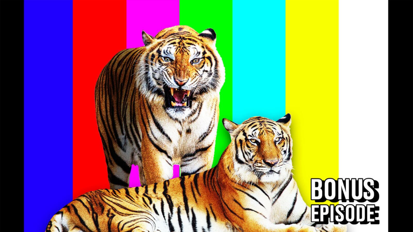 210716-TNA-tiger-hero_kfnrcg