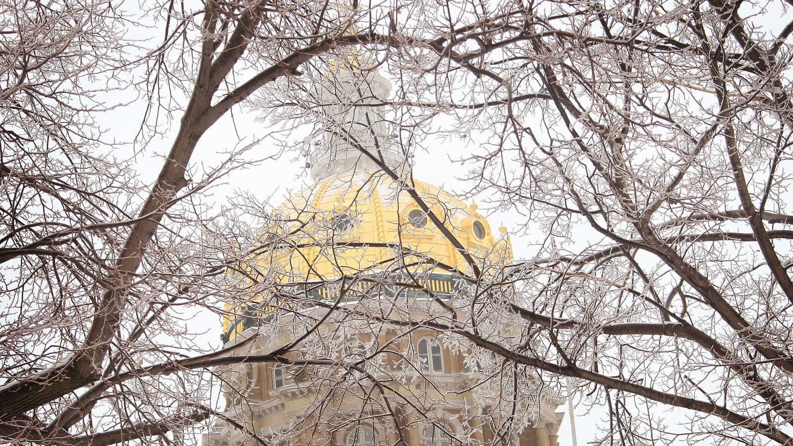 GettyImages-78387426_y9rskm