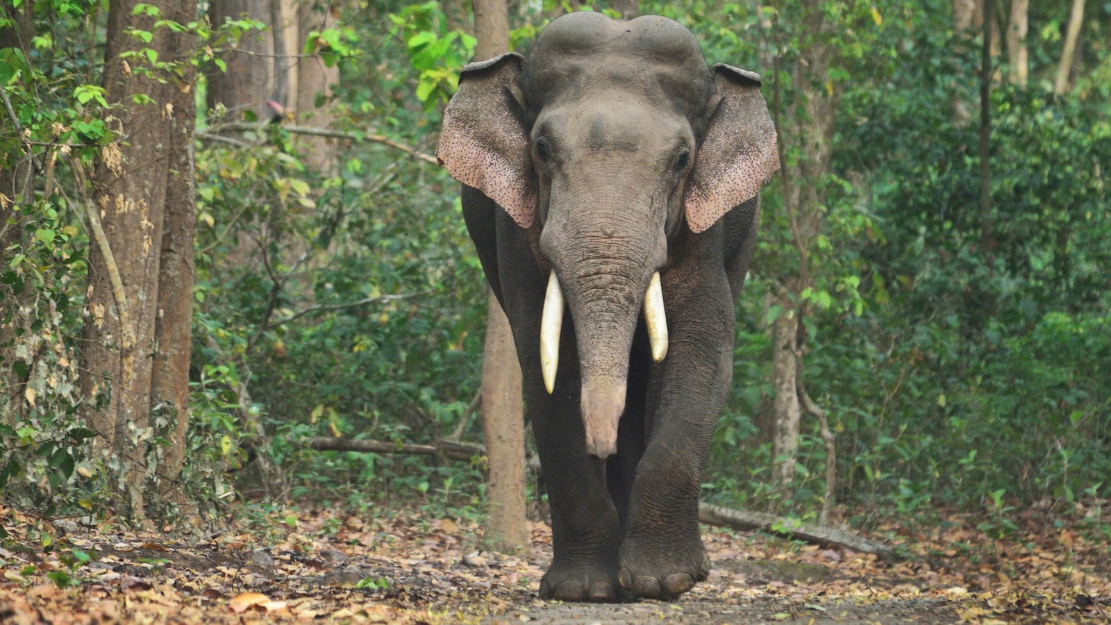 GettyImages-1357504051_br9zqi