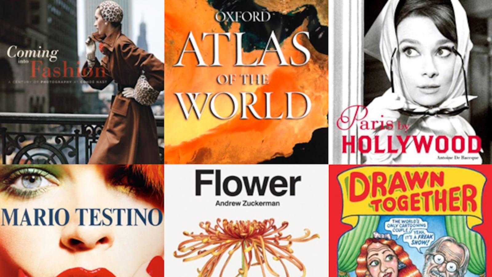 galleries/2012/12/09/best-coffee-table-books-of-2012/coffee-table-books-2012-tease_saa4m3