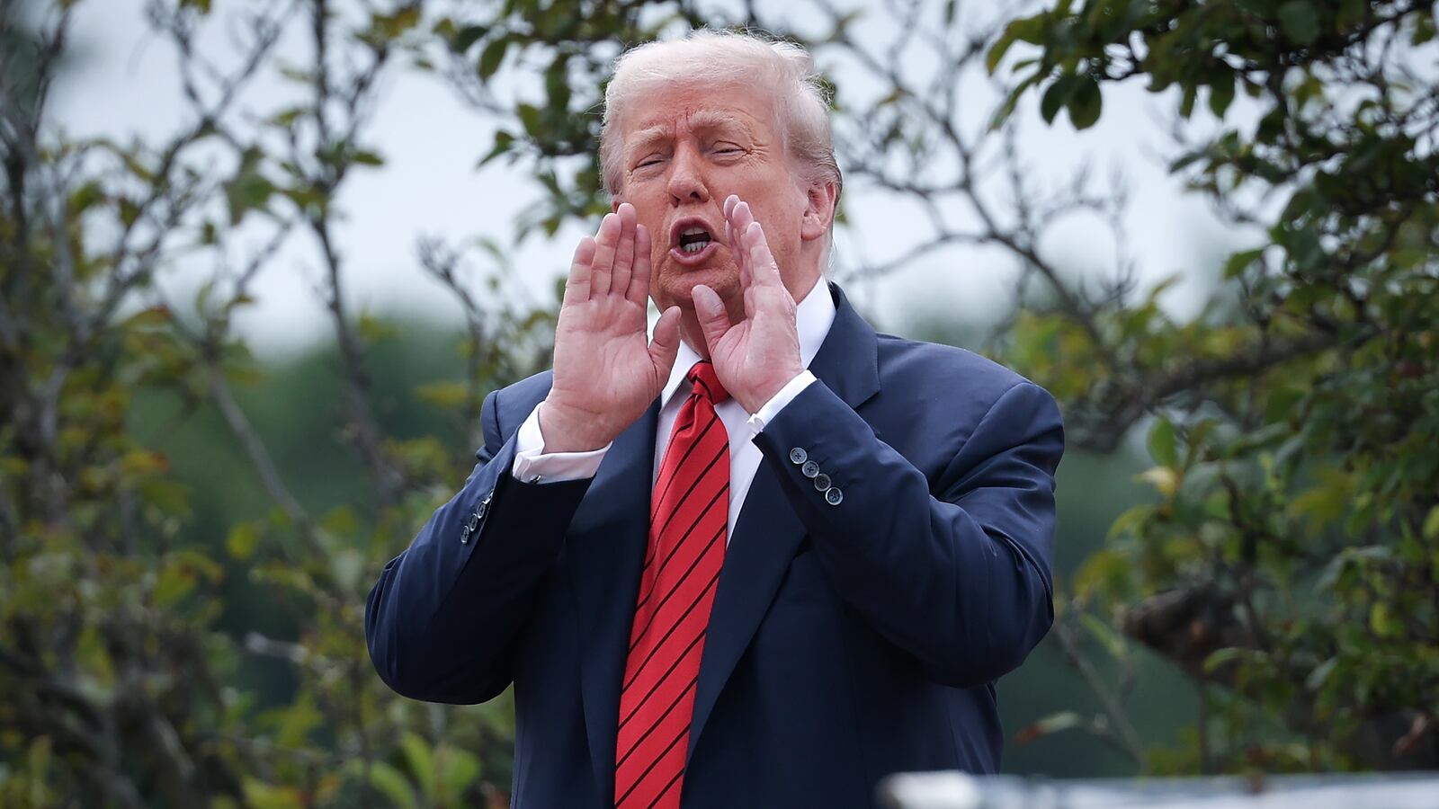 President Donald Trump